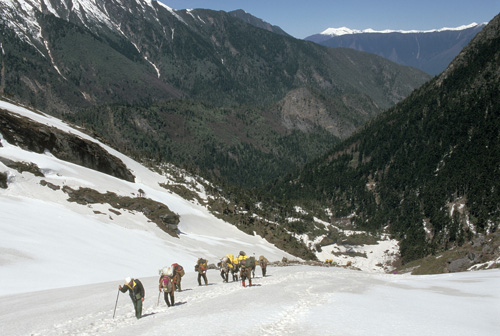 Porters climb toward a pass, the Doxiong La, across which lies the ‘hidden land’ of Pemako in southeastern: Tibet. Photograph from Tibet Wild by George B. Schaller. Reproduced by permission of Island Press.